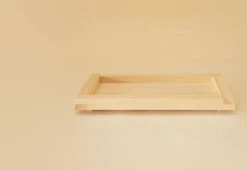 009 Rectangular Tray