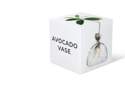 Avocado Vase -Vitra Store twentytwentyone Ilex Studio 1